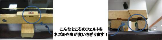 ネズミのいる家は要チュー意!?